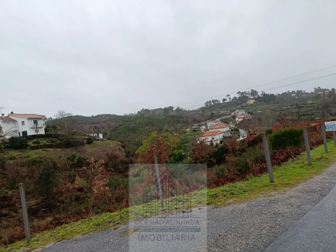 Terreno para Venda em Nogueira do Cravo Foto 4
