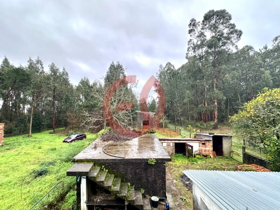 Moradia T3 para Venda em Vila Nova de Anha Foto 10