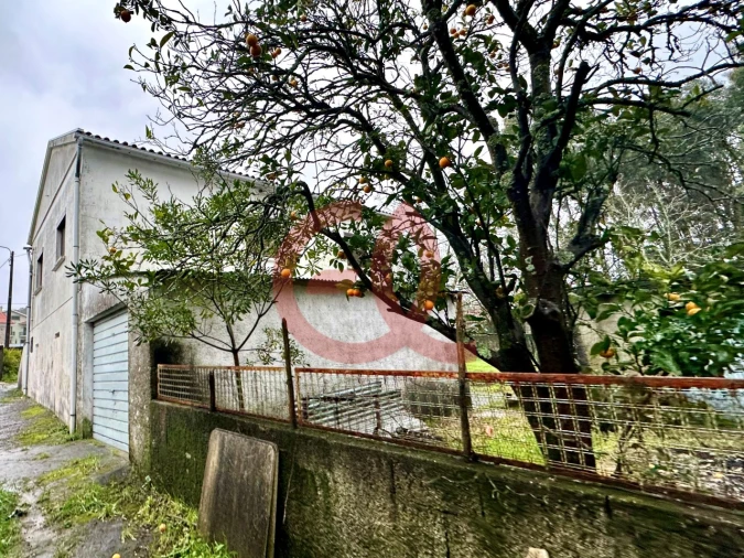 Moradia T3 para Venda em Vila Nova de Anha Foto 6