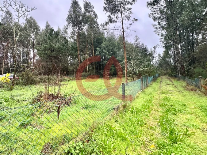 Moradia T3 para Venda em Vila Nova de Anha Foto 7