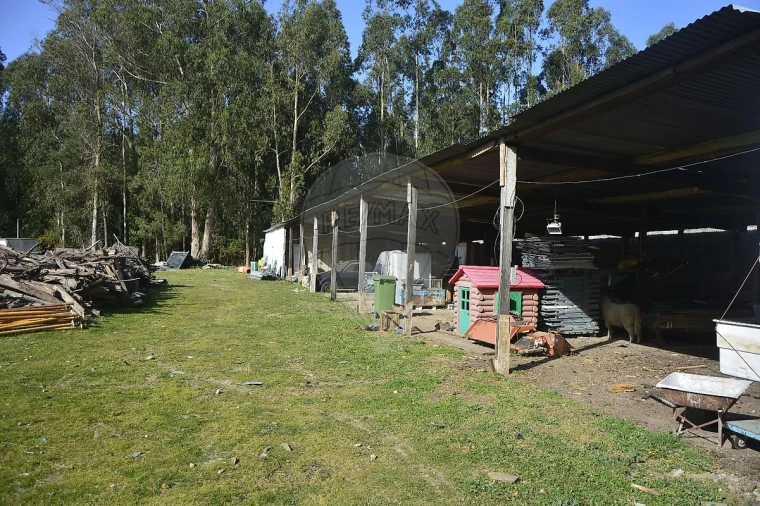 Terreno para Venda em Guilhabreu Foto 2