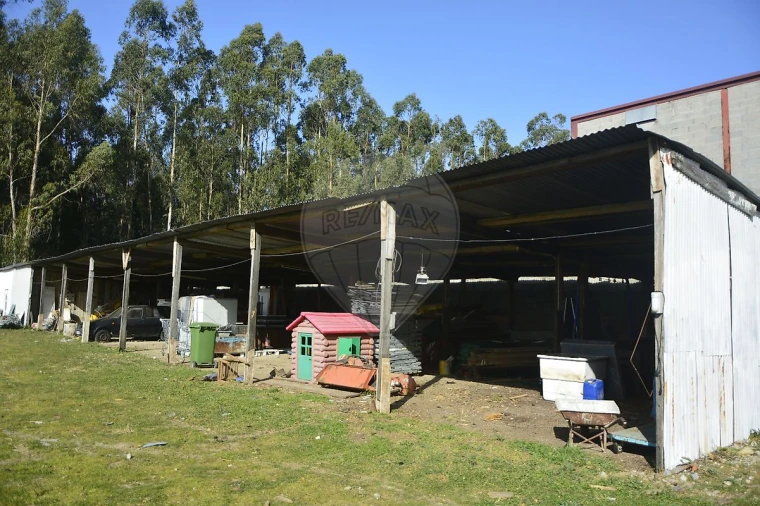 Terreno para Venda em Guilhabreu Foto 20