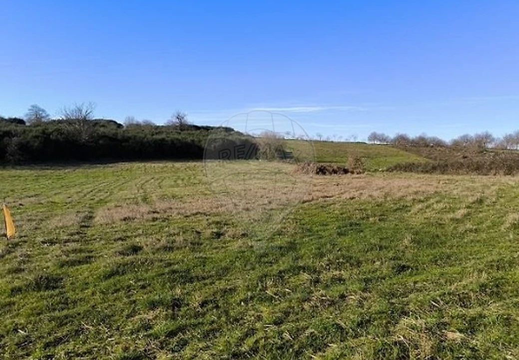 Terreno para Venda em Eiras, São Julião de Montenegro e Cela Foto 4