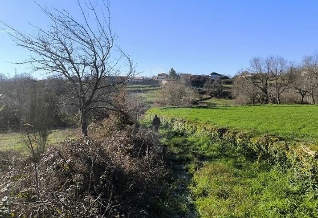 Terreno para Venda em Eiras, São Julião de Montenegro e Cela Foto 2