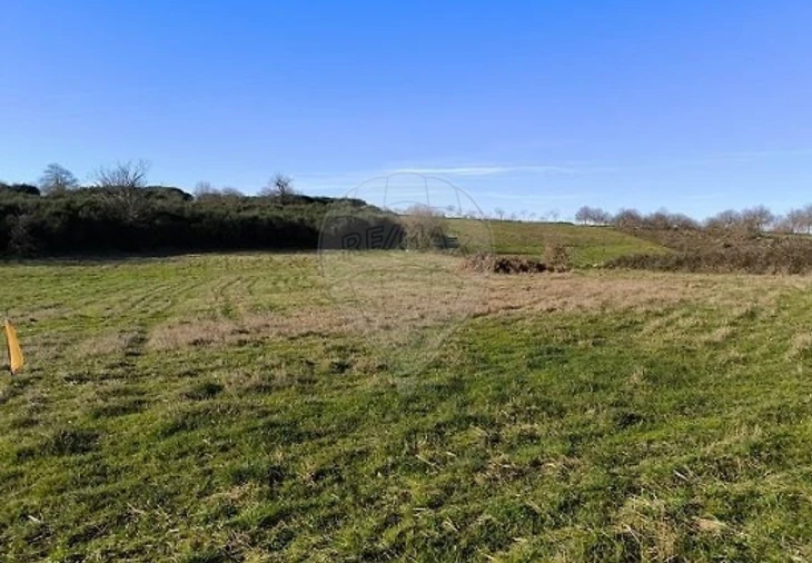 Terreno para Venda em Eiras, São Julião de Montenegro e Cela Foto 4