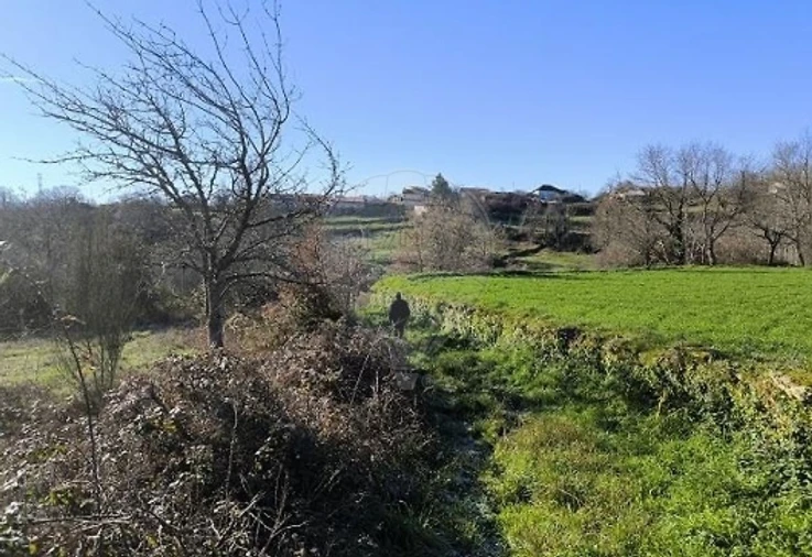 Terreno para Venda em Eiras, São Julião de Montenegro e Cela Foto 2