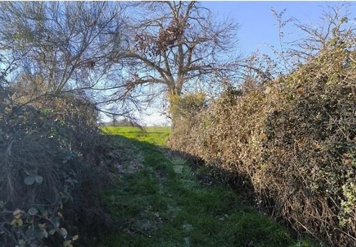 Terreno para Venda em Eiras, São Julião de Montenegro e Cela Foto 10
