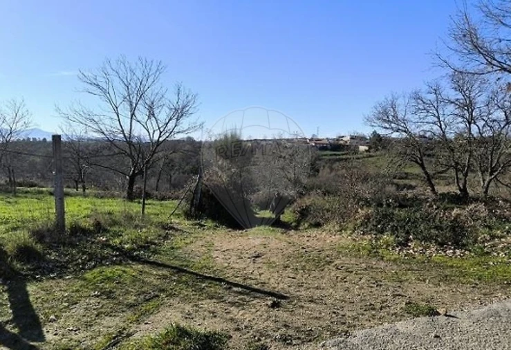 Terreno para Venda em Eiras, São Julião de Montenegro e Cela Foto 8