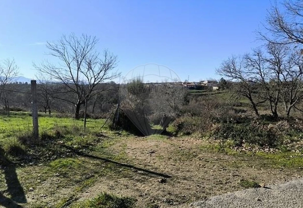 Terreno para Venda em Eiras, São Julião de Montenegro e Cela Foto 8