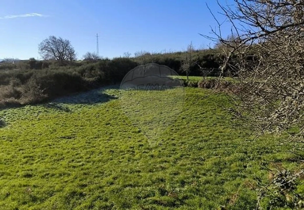 Terreno para Venda em Eiras, São Julião de Montenegro e Cela Foto 5