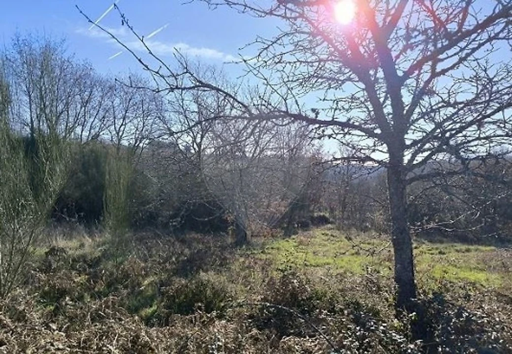 Terreno para Venda em Eiras, São Julião de Montenegro e Cela Foto 7