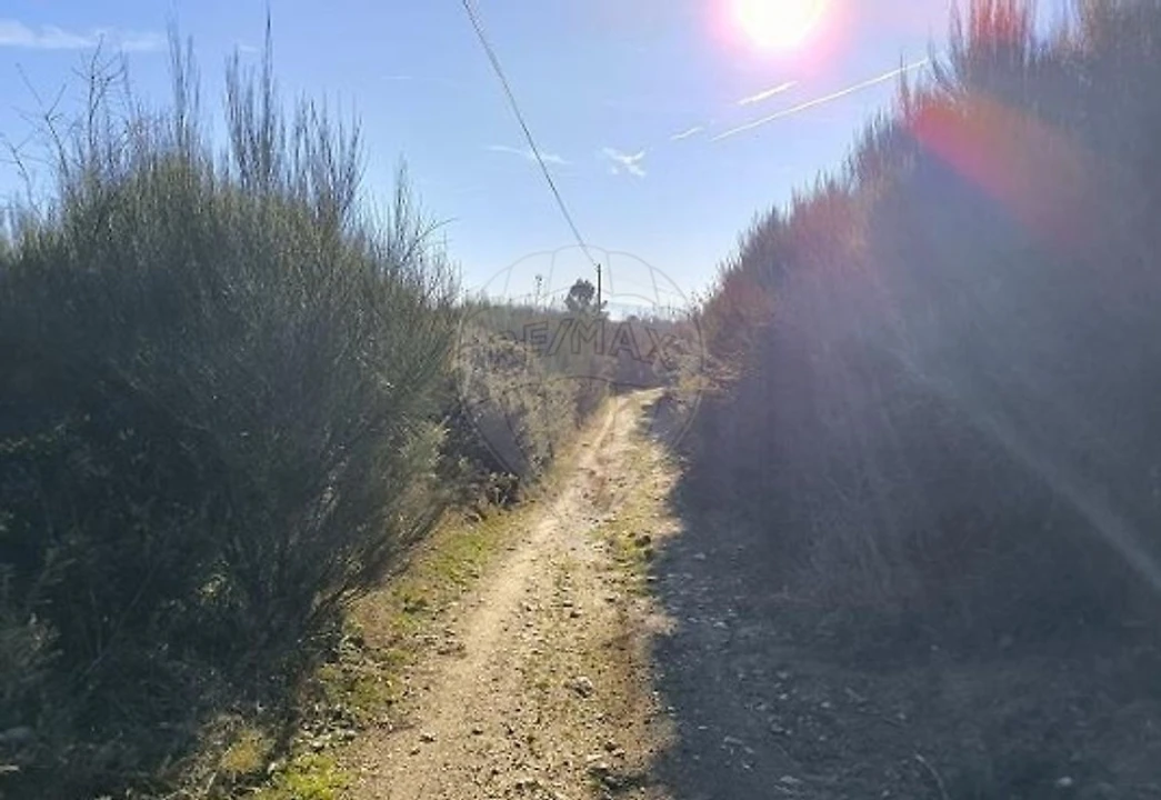 Terreno para Venda em Eiras, São Julião de Montenegro e Cela Foto 1