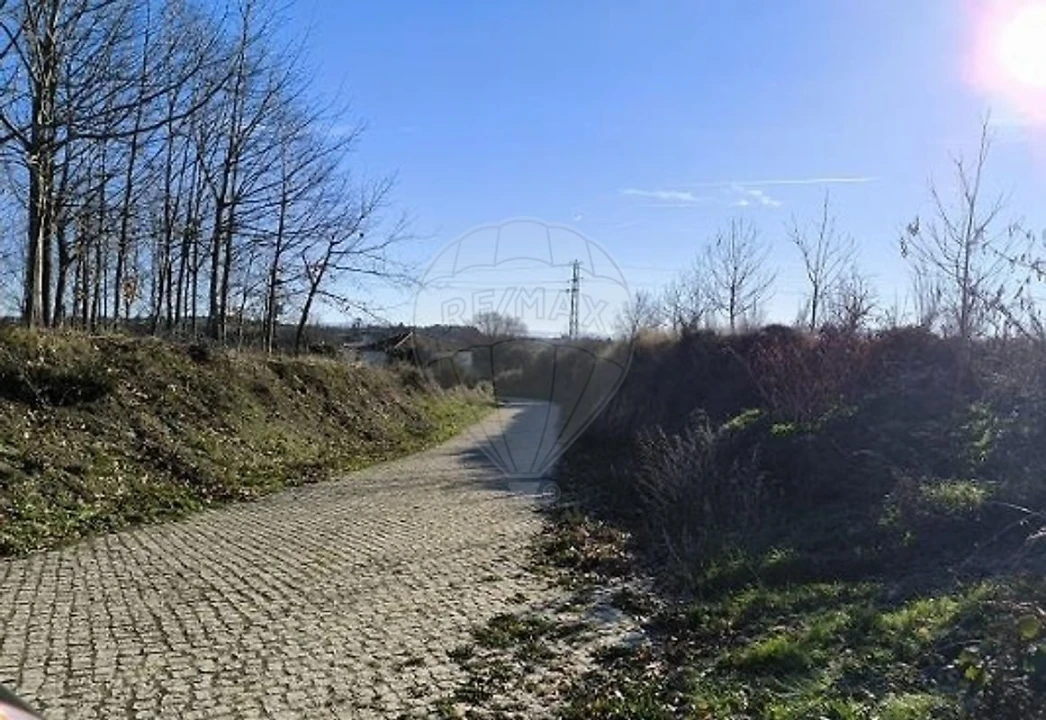 Terreno para Venda em Eiras, São Julião de Montenegro e Cela Foto 9