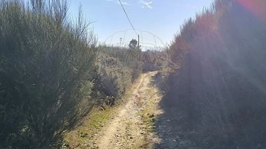 Terreno para Venda em Eiras, São Julião de Montenegro e Cela