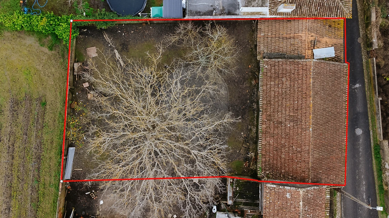 Armazém para Venda em Ribafria e Pereiro de Palhacana Foto 16