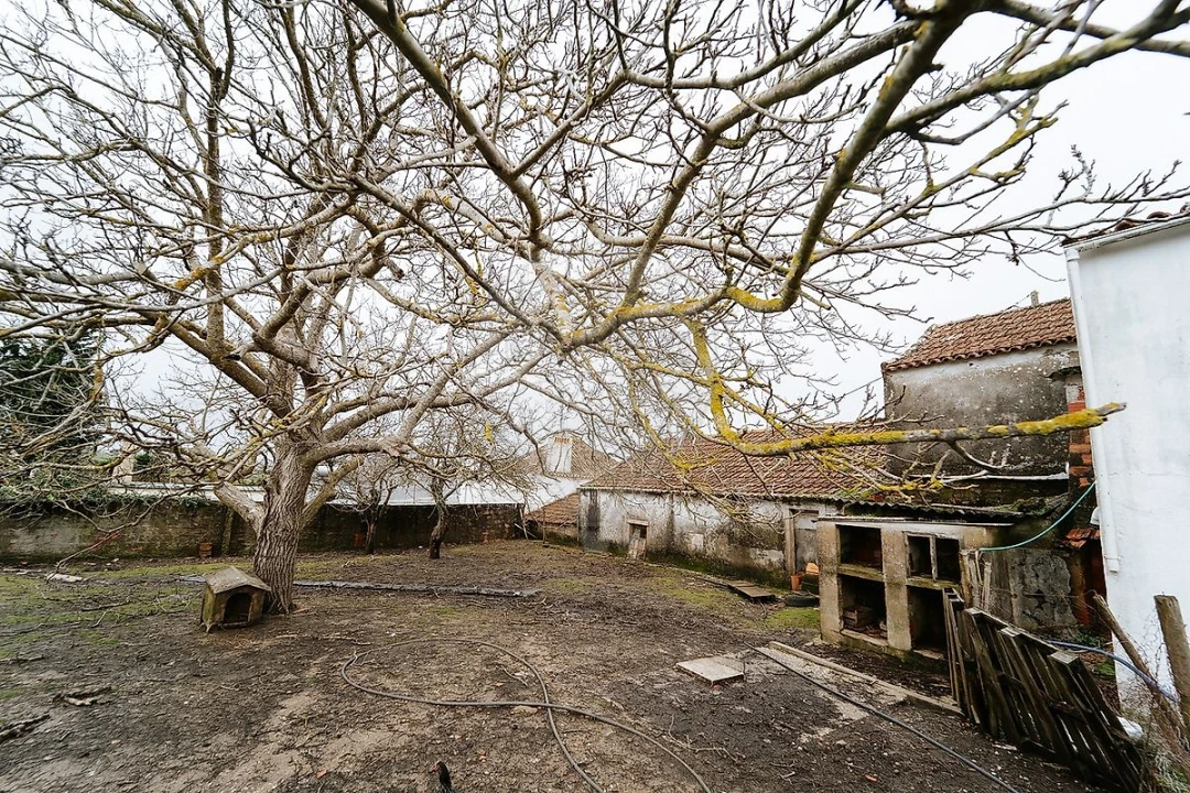 Armazém para Venda em Ribafria e Pereiro de Palhacana Foto 12