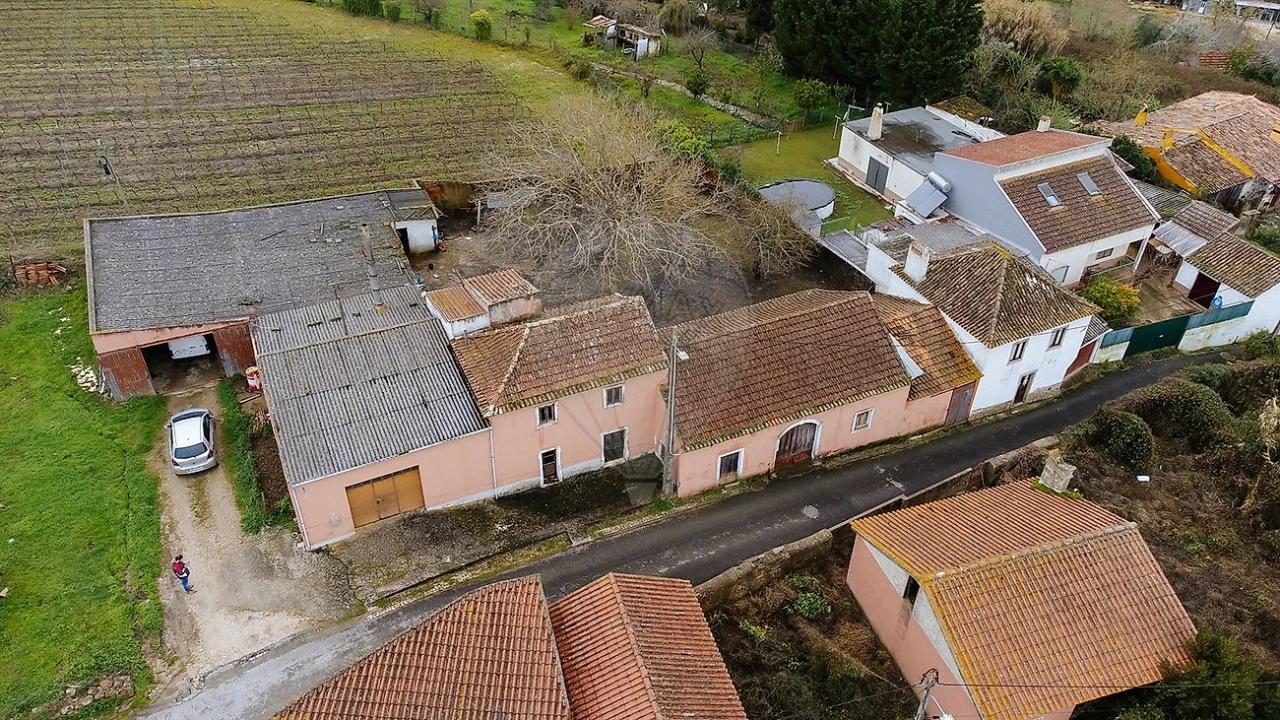 Armazém para Venda em Ribafria e Pereiro de Palhacana Foto 7