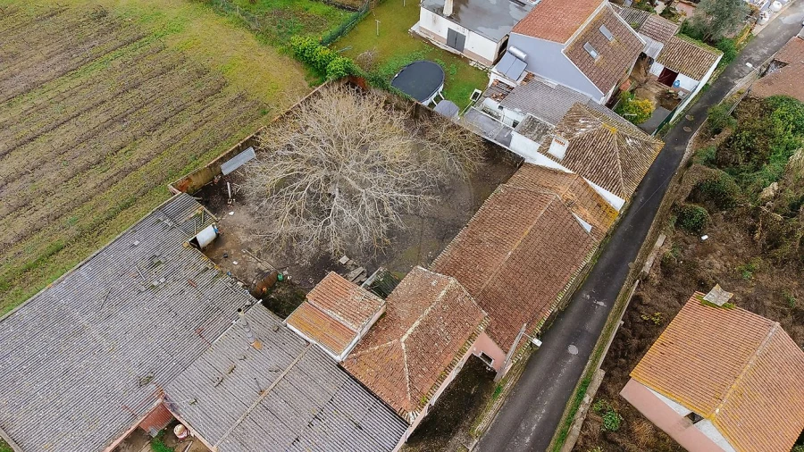 Armazém para Venda em Ribafria e Pereiro de Palhacana Foto 1