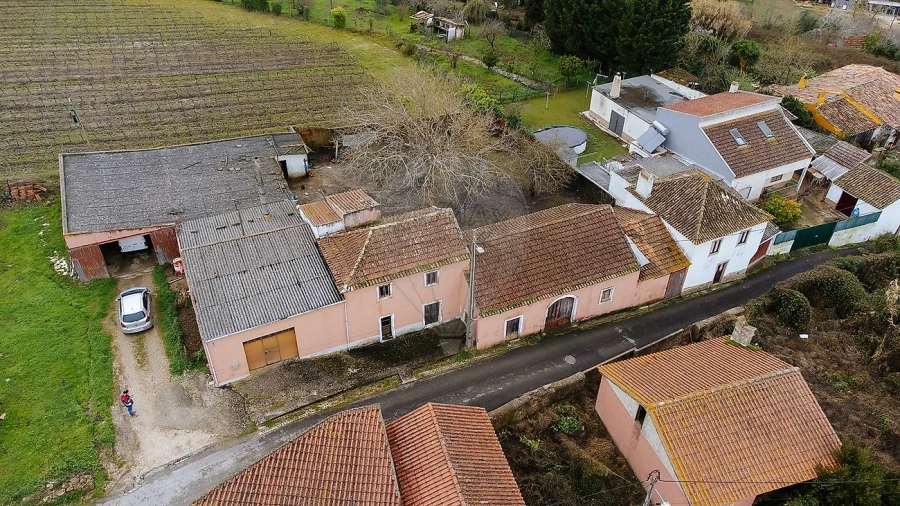 Armazém para Venda em Ribafria e Pereiro de Palhacana Foto 7