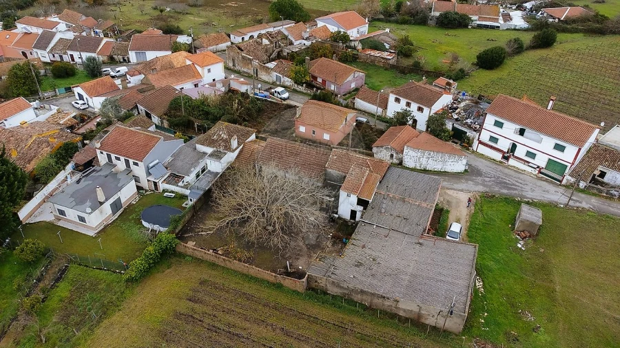 Armazém para Venda em Ribafria e Pereiro de Palhacana Foto 5