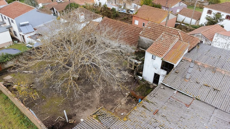 Armazém para Venda em Ribafria e Pereiro de Palhacana Foto 3