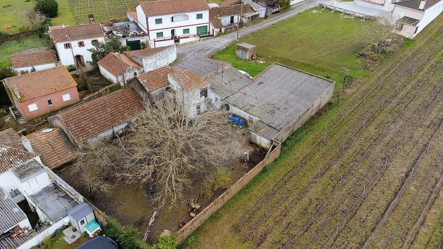 Armazém para Venda em Ribafria e Pereiro de Palhacana Foto 6
