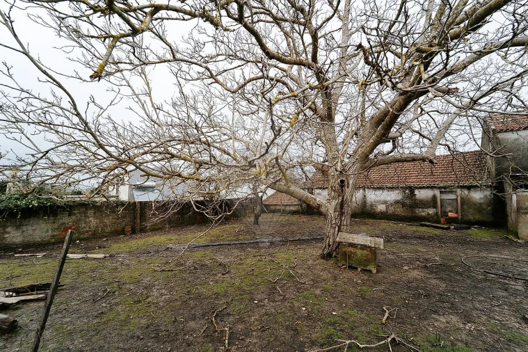 Armazém para Venda em Ribafria e Pereiro de Palhacana Foto 13