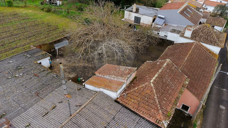 Armazém para Venda em Ribafria e Pereiro de Palhacana Foto 4