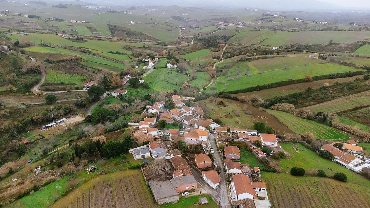 Armazém para Venda em Ribafria e Pereiro de Palhacana Foto 2