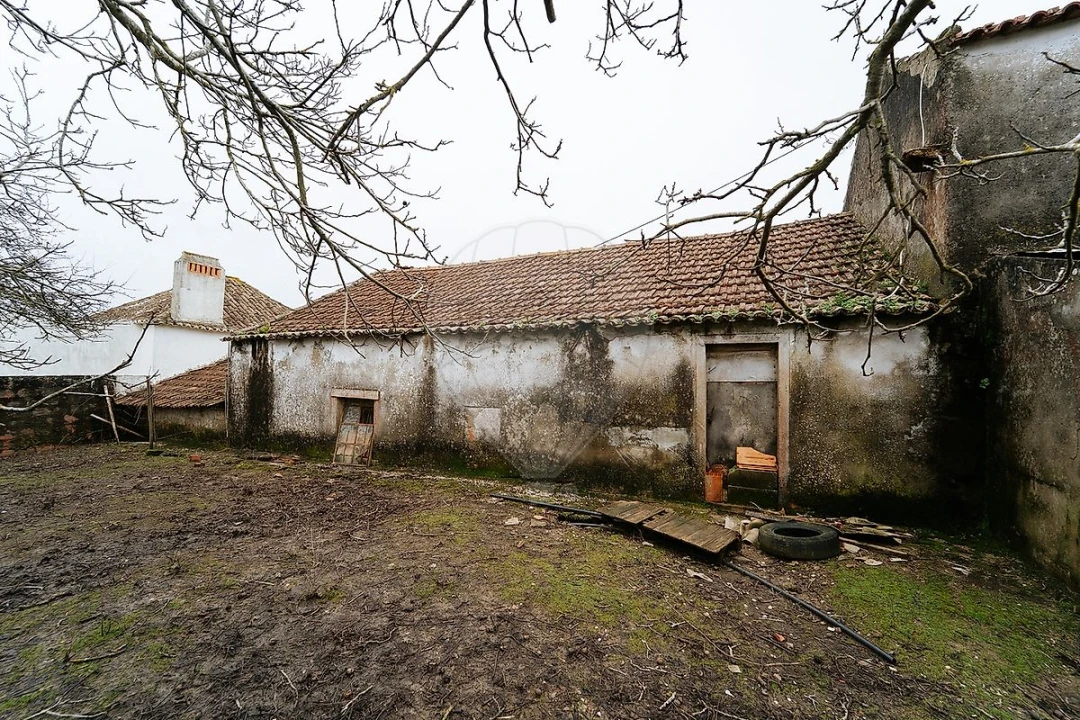 Armazém para Venda em Ribafria e Pereiro de Palhacana Foto 14