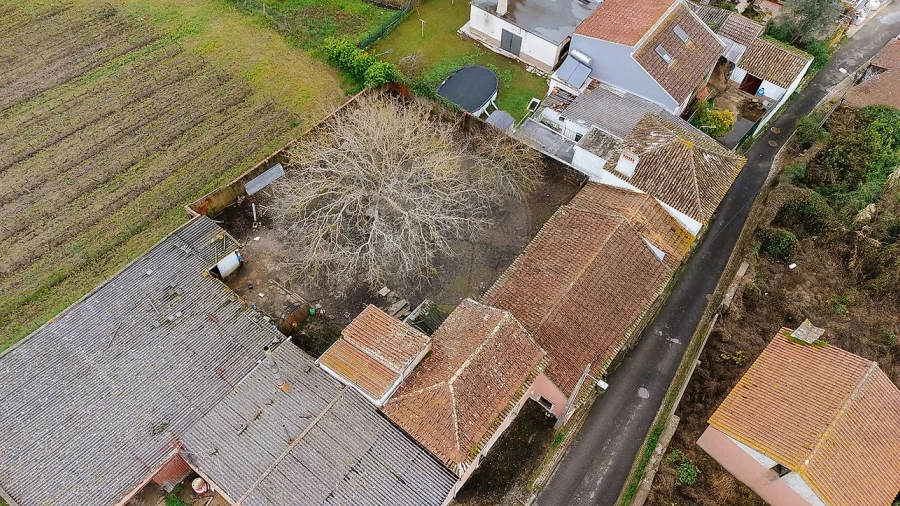 Armazém para Venda em Ribafria e Pereiro de Palhacana