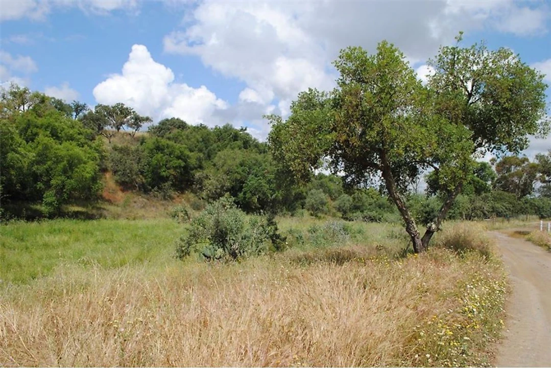 Terreno para Venda em São Luis Foto 1