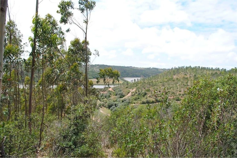 Terreno para Venda em São Luis Foto 2