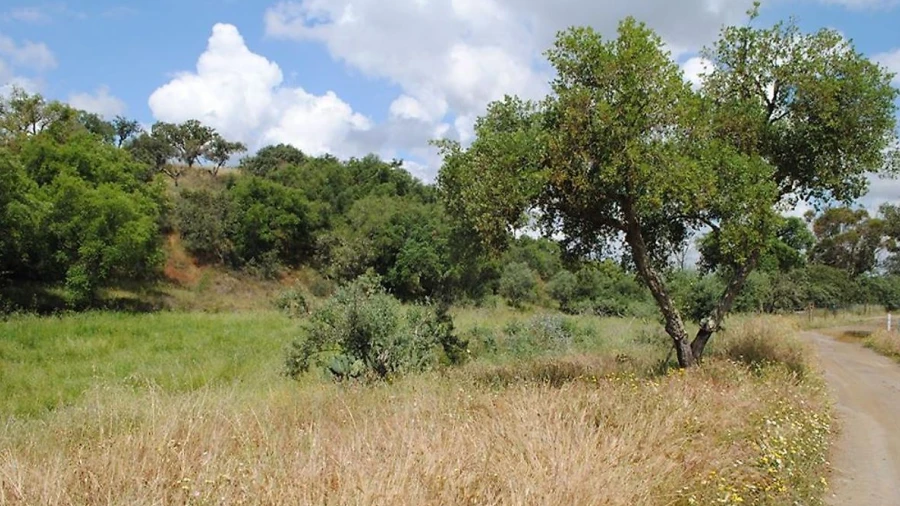 Terreno para Venda em São Luis