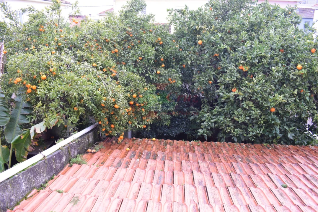 Moradia T3 para Venda em Santo Antonio dos Olivais Foto 29