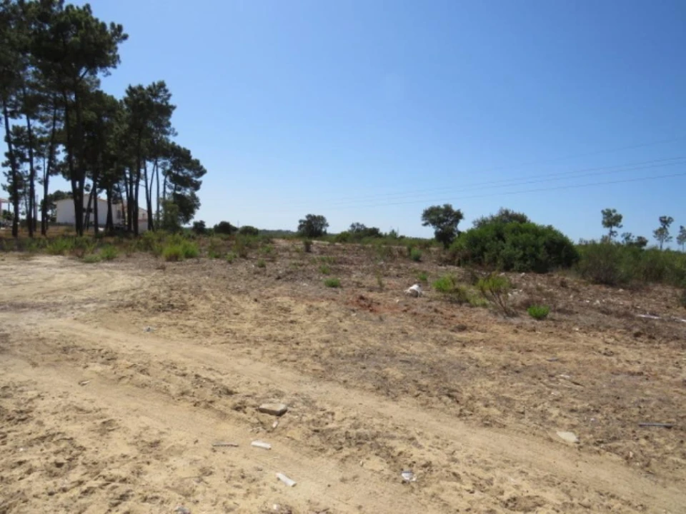 Terreno Agricola ou Rústico para Venda em Quinta do Conde Foto 5