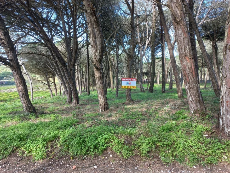 Terreno Agricola ou Rústico para Venda em Cacém e São Marcos Foto 1