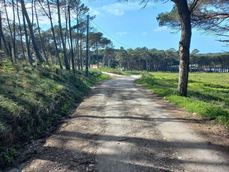 Terreno Agricola ou Rústico para Venda em Cacém e São Marcos Foto 2