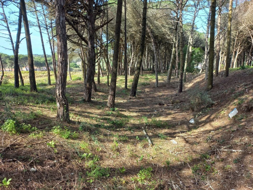 Terreno Agricola ou Rústico para Venda em Cacém e São Marcos Foto 5