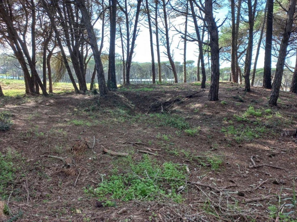 Terreno Agricola ou Rústico para Venda em Cacém e São Marcos Foto 6