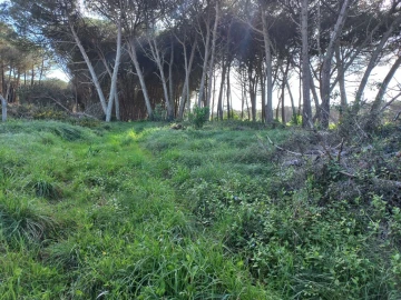 Terreno Agricola ou Rústico para Venda em Agualva e Mira-Sintra