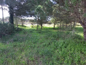Terreno Agricola ou Rústico para Venda em Agualva e Mira-Sintra