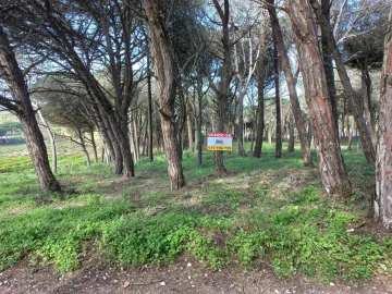 Terreno Agricola ou Rústico para Venda em Agualva e Mira-Sintra