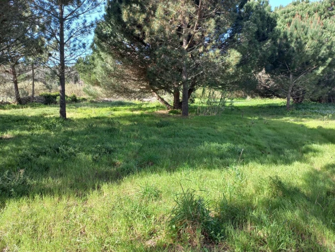 Terreno Agricola ou Rústico para Venda em Cacém e São Marcos Foto 12