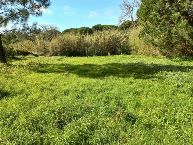 Terreno Agricola ou Rústico para Venda em Cacém e São Marcos Foto 14