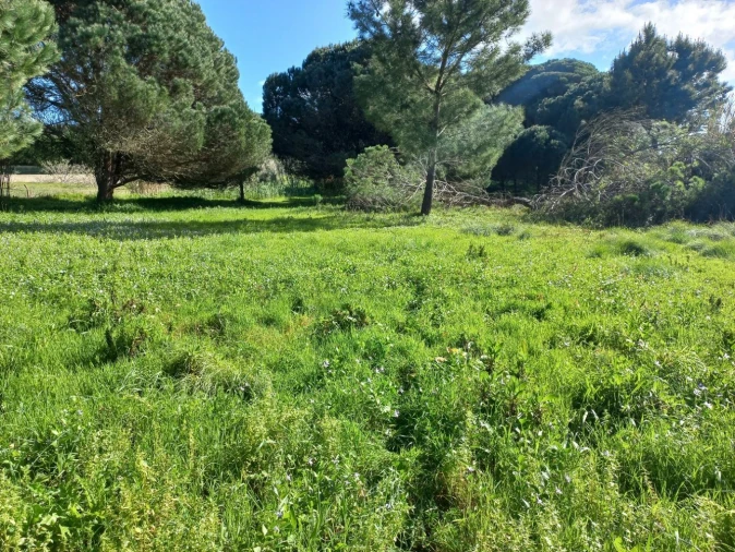 Terreno Agricola ou Rústico para Venda em Cacém e São Marcos Foto 15