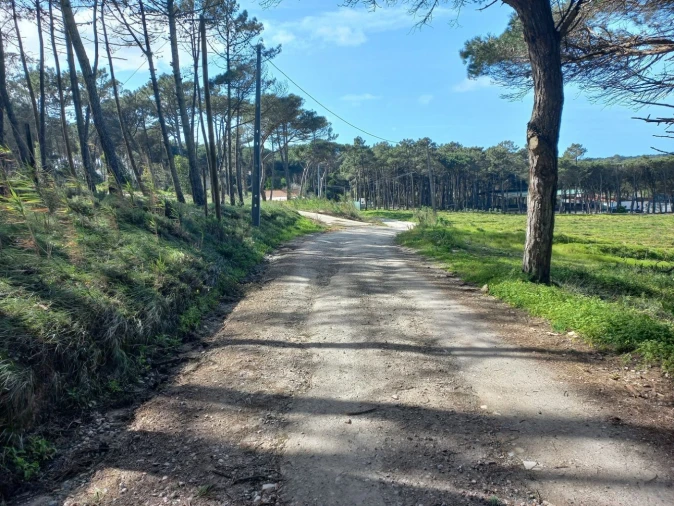 Terreno Agricola ou Rústico para Venda em Cacém e São Marcos Foto 2