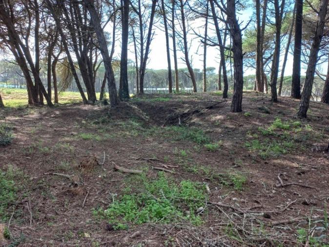 Terreno Agricola ou Rústico para Venda em Cacém e São Marcos Foto 6