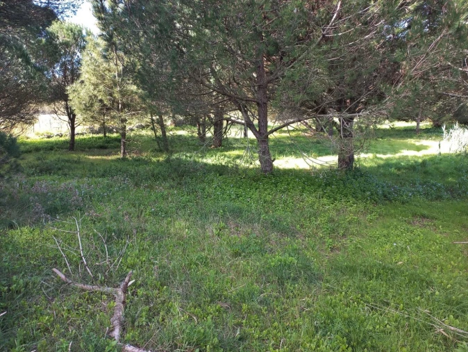 Terreno Agricola ou Rústico para Venda em Cacém e São Marcos Foto 9