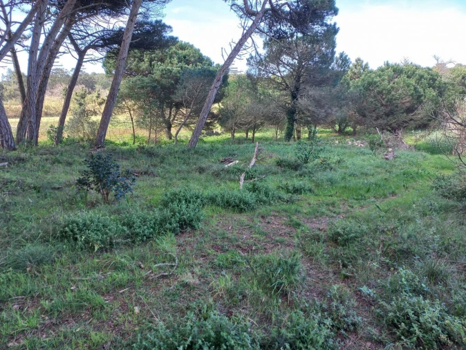 Terreno Agricola ou Rústico para Venda em Agualva e Mira-Sintra Foto 9